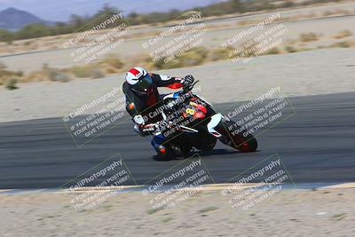 media/Mar-12-2022-SoCal Trackdays (Sat) [[152081554b]]/Turn 14 Inside (155pm)/